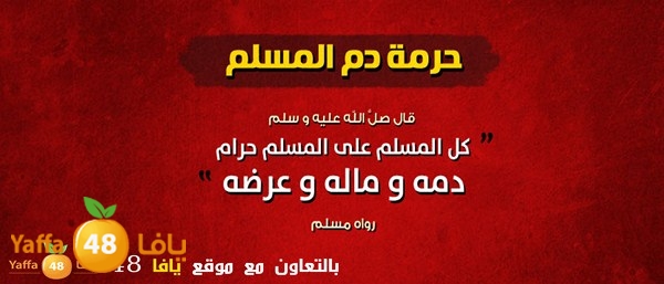 3onfyaffa48 (24).jpg